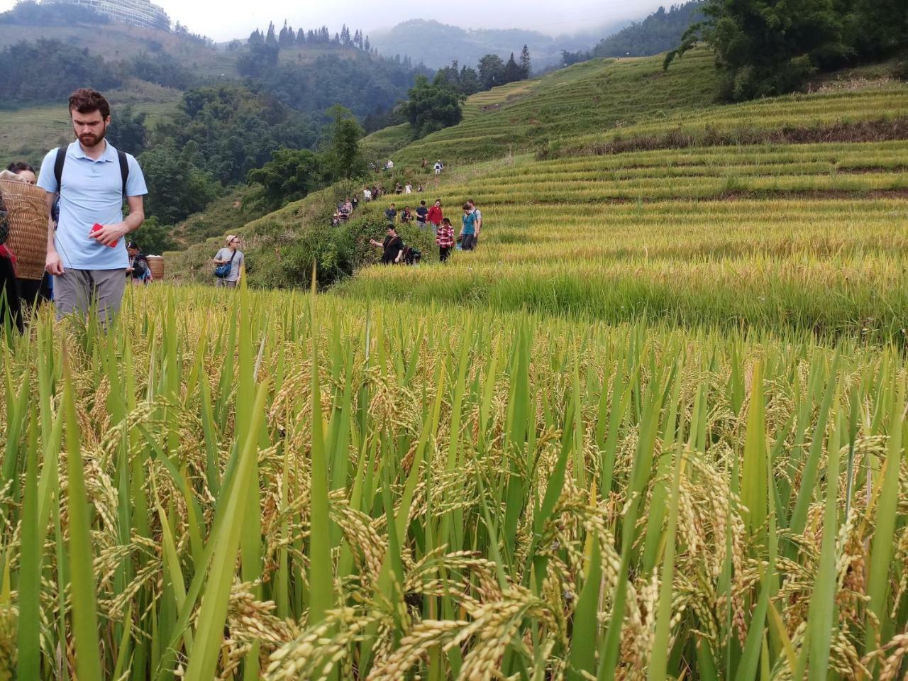 Tuongmai Home & Trekking Tour Sapa Exteriör bild
