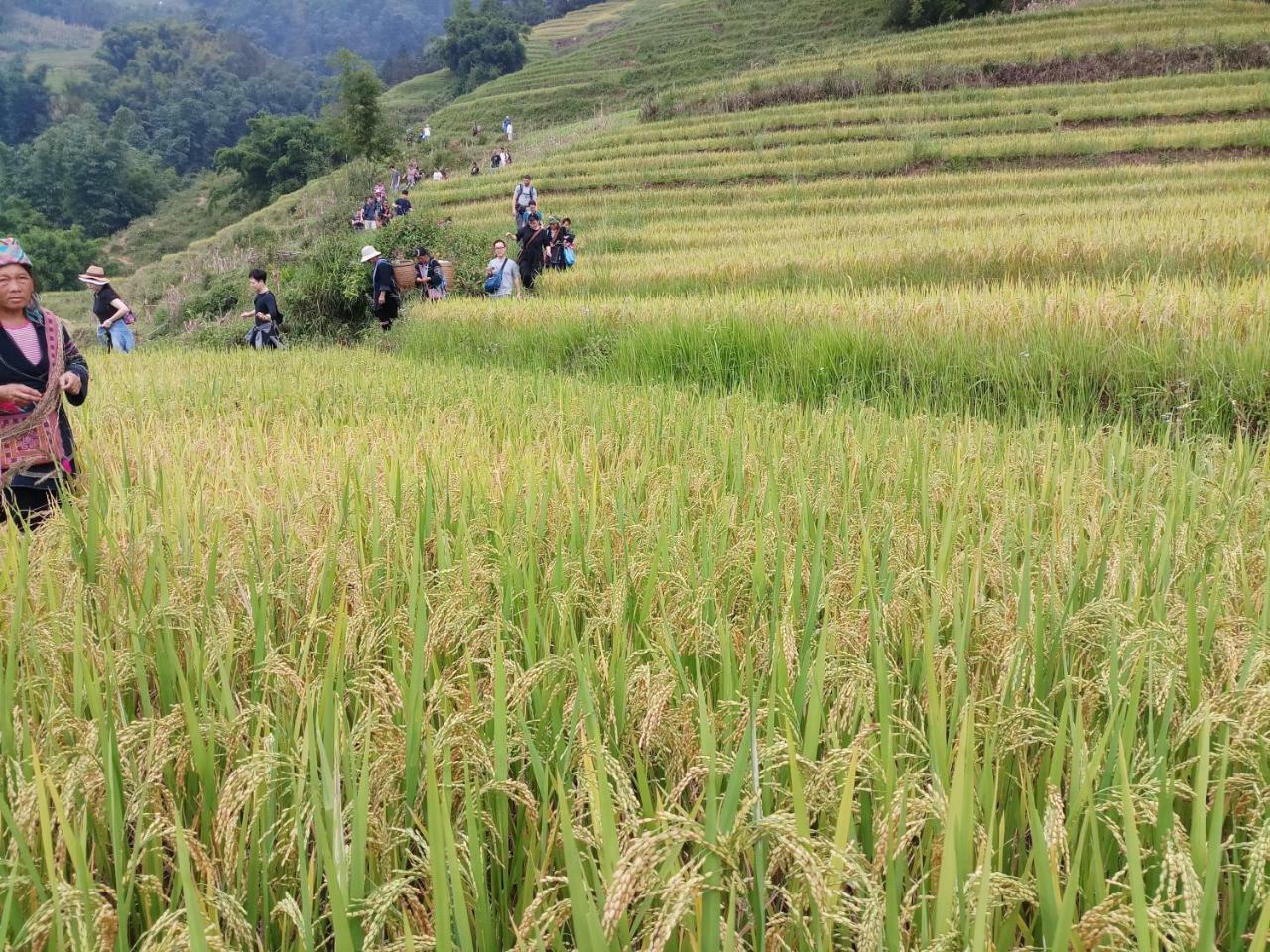 Tuongmai Home & Trekking Tour Sapa Exteriör bild
